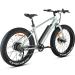 FitNord Rumble 300 Sähköfatbike 2023, minttu (720 Wh tehoakku)
