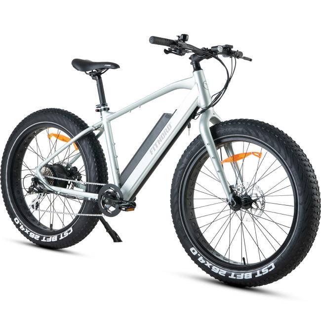 FitNord Rumble 300 Sähköfatbike 2023, minttu (720 Wh tehoakku)