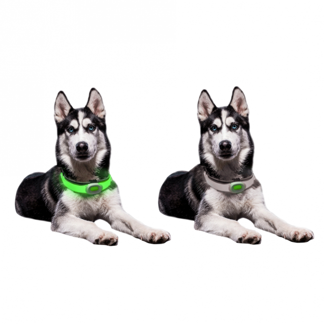 Koiran LED-valopanta Maxi