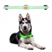 Koiran LED-valopanta Maxi